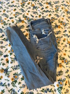 American Eagle Outfitters Light Blue Distressed Skinny Jeans